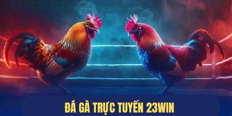 Đá gà 23win kịch tính nhiều hình thức 