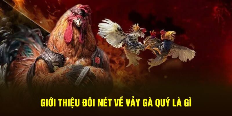 Giới thiệu đôi nét về vảy gà quý là gì