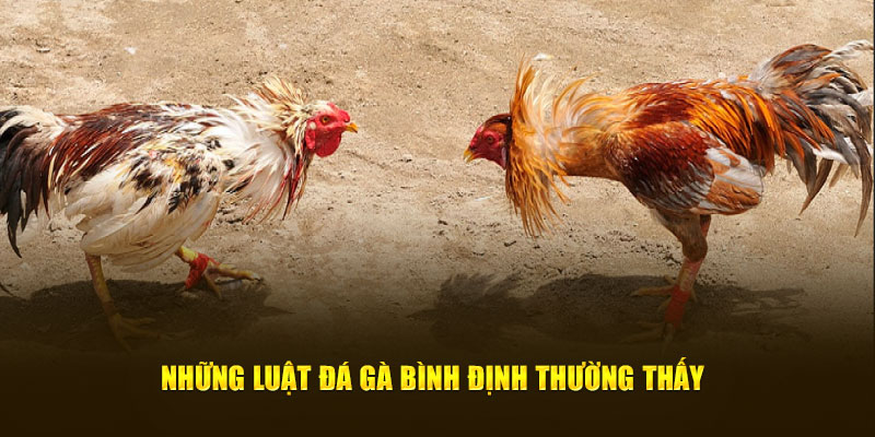 Những luật đá gà Bình Định thường thấy